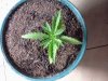 Photo-0121.jpg