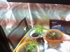 Snapshot_20130601_10.JPG