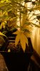 DSC05790.jpg