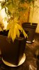 DSC05791.jpg