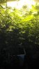2013-04-02_13-42-05_796.jpg