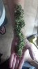 2013-05-02_13-05-42_863.jpg