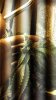 2013-04-24_15-03-51_793.jpg