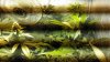 2013-04-05_15-47-19_774.jpg 2013-04-05_15-47-19_774.jpg