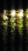2013-04-05_15-47-05_246.jpg