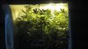2013-04-05_13-37-00_198.jpg