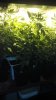 2013-04-05_13-36-47_52.jpg 2013-04-05_13-36-47_52.jpg