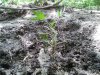 20130603_141959.jpg