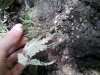 20130603_141949.jpg