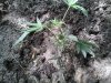 20130603_141919.jpg