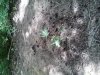 20130603_141900.jpg