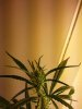 20130605_193643.jpg