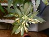DSCN3048.jpg