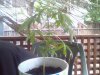 Snapshot_20130606.JPG