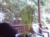 Snapshot_20130606_4.JPG