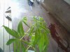 Snapshot_20130606_5.JPG
