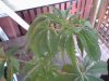 Snapshot_20130606_10.JPG