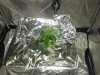 20130606_143819.jpg 20130606_143819.jpg