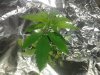 20130606_143822.jpg 20130606_143822.jpg