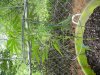 DSCN6248.jpg DSCN6248.jpg