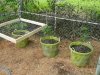 DSCN6254.jpg DSCN6254.jpg