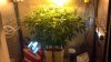 2013-06-04_16-56-42_660.jpg