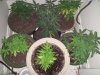 20130607_130224.jpg