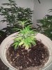 20130607_130341.jpg