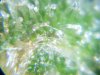 20130607_130715.jpg