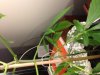 IMG_0661.jpg