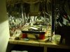 DSC00857.jpg