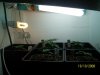100_0283.jpg
