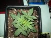 100_0275.jpg