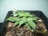 100_0276.jpg