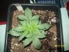 100_0277.jpg
