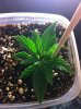 2013-06-09 05.46.59.jpg