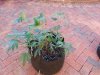20130609_183441.jpg