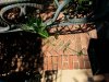 20130609_182748.jpg