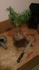 IMAG0710_BURST004.jpg