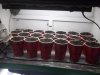 DSCF2649.jpg