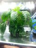 20130612_031949.jpg 20130612_031949.jpg