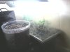 IMG_20130609_114404.jpg