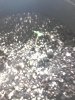IMG_20130613_063148.jpg