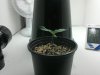 2013-06-04-637.jpg 2013-06-04-637.jpg