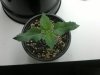 2013-06-08-639.jpg 2013-06-08-639.jpg