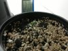 2013-05-30-628.jpg 2013-05-30-628.jpg