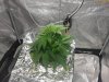 20130614_165134.jpg