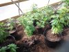 20130614_094948.jpg