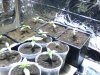 Snapshot_20130615_4.JPG