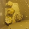 528213039-step21-fruit.jpg